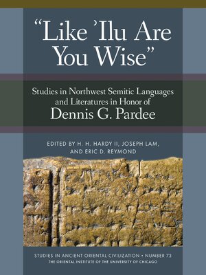 cover image of Like 'Ilu Are You Wise
